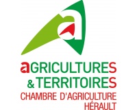 Chambre Agriculture Hérault : Communiqué du 16/07/21 - Lutte contre la flavescence dorée